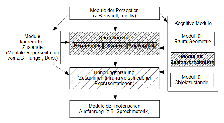 Abbildung 2 Module mit verschiedenen Verarbeitungsstärken und schwächen