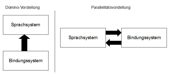 Schaubild verschiedener Eingewöhnungsvorstellungen