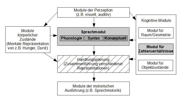 Schaubild von Modulen mit verschiedenen Verarbeitungsstärken und -schwächen.